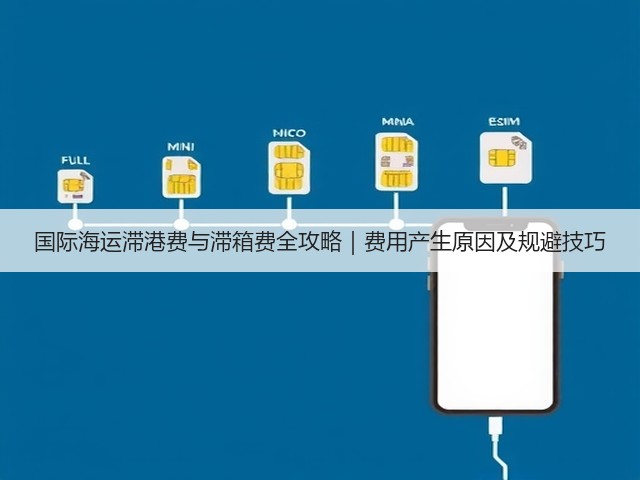国际海运滞港费与滞箱费全攻略｜费用产生原因及规避技巧(图1)