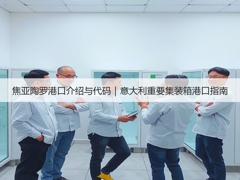 焦亚陶罗港口介绍与代码｜意大利重要集装箱港口指南
