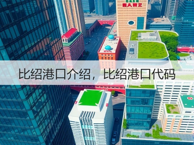 比绍港口介绍,比绍港口代码(图3) 比绍港口介绍,比绍港口代码(图3)