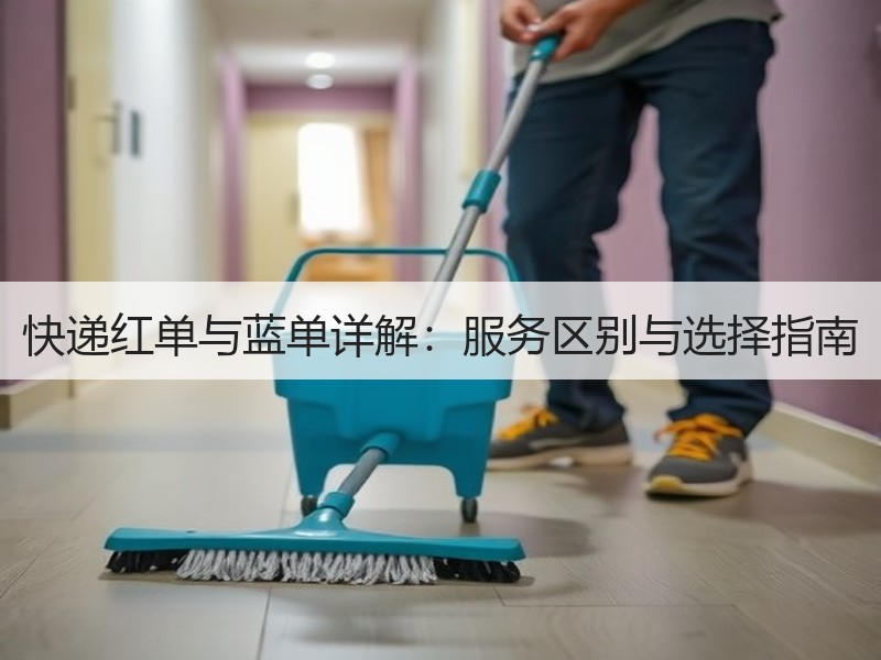 快递红单与蓝单详解：服务区别与选择指南