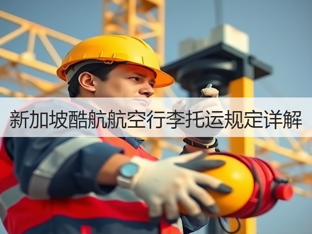 新加坡酷航航空行李托运规定详解(图2) 新加坡酷航航空行李托运规定详解(图2)