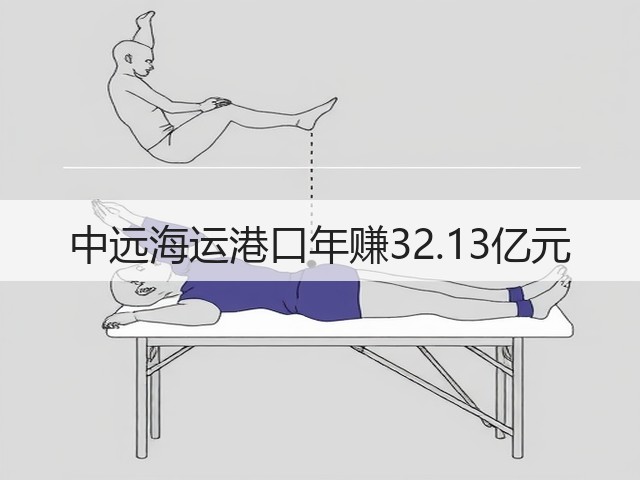 中远海运港口年赚32.13亿元(图2)