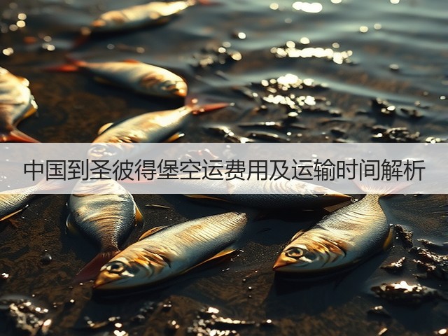 中国到圣彼得堡空运费用及运输时间解析(图3) 中国到圣彼得堡空运费用及运输时间解析(图3)