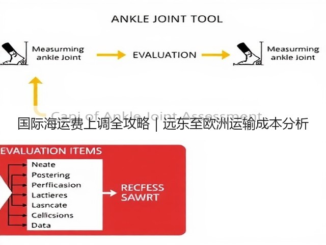 国际海运费上调全攻略｜远东至欧洲运输成本分析(图3)