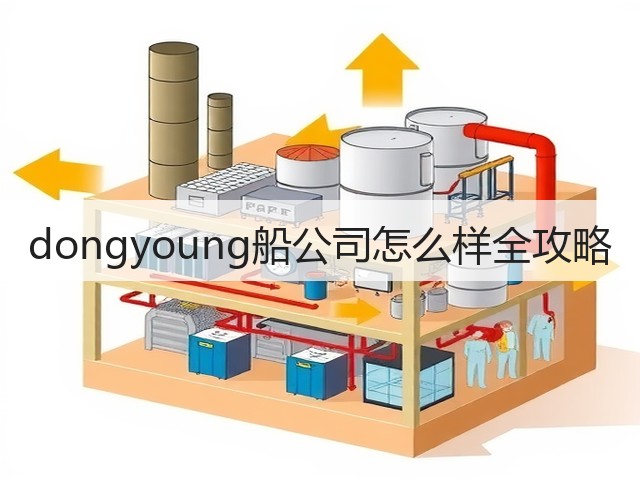 dongyoung船公司怎么样全攻略(图2)