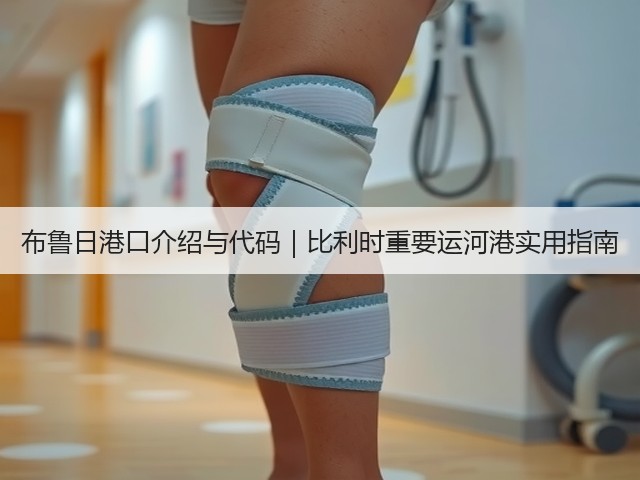 布鲁日港口介绍与代码｜比利时重要运河港实用指南(图2)