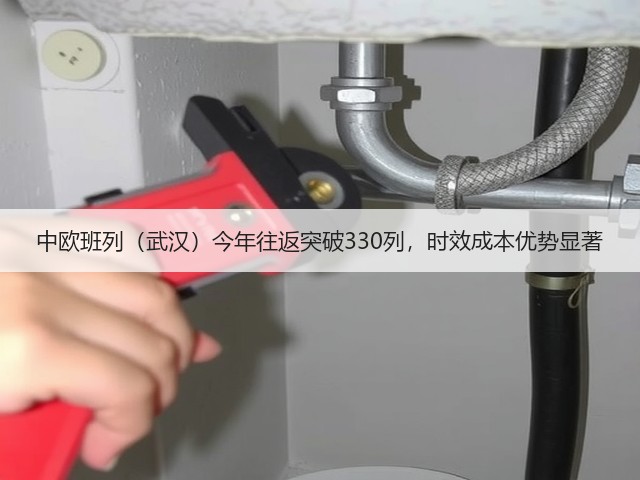 中欧班列（武汉）今年往返突破330列，时效成本优势显著(图1)