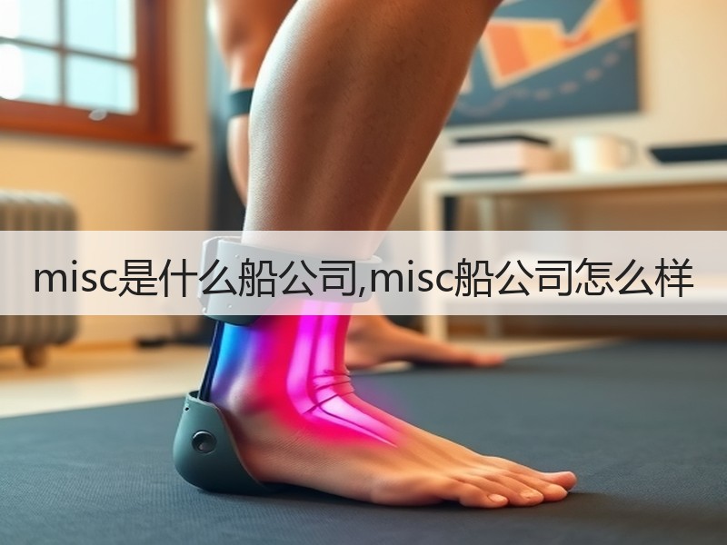 misc是什么船公司,misc船公司怎么样