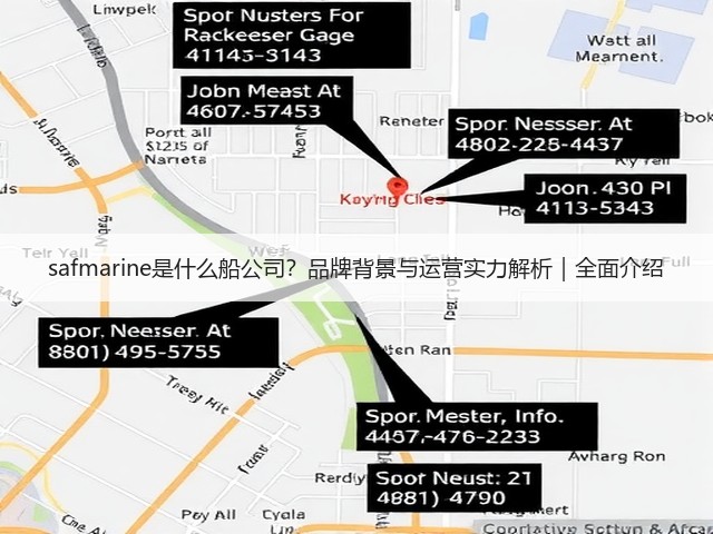 safmarine是什么船公司？品牌背景与运营实力解析｜全面介绍(图3)