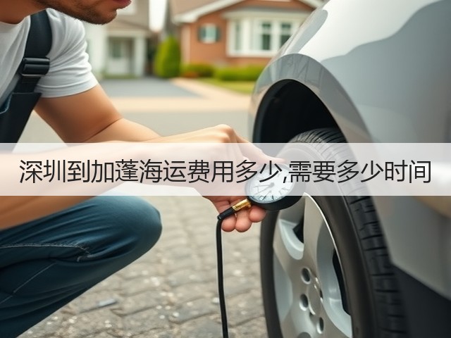 深圳到加蓬海运费用多少,需要多少时间(图2)