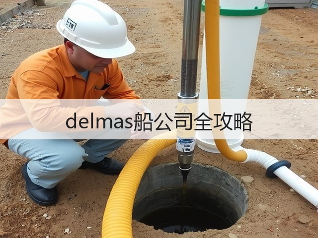 delmas船公司全攻略(图3)