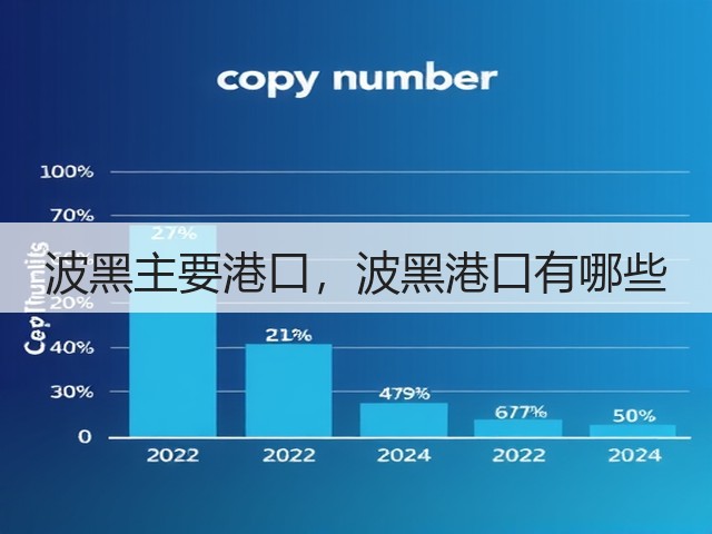 波黑主要港口,波黑港口有哪些(图1) 波黑主要港口,波黑港口有哪些(图1)