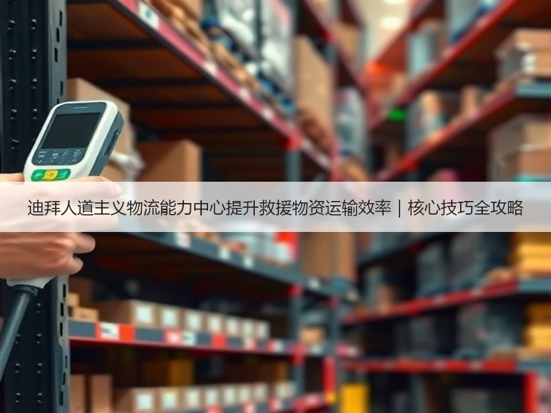 迪拜人道主义物流能力中心提升救援物资运输效率｜核心技巧全攻略