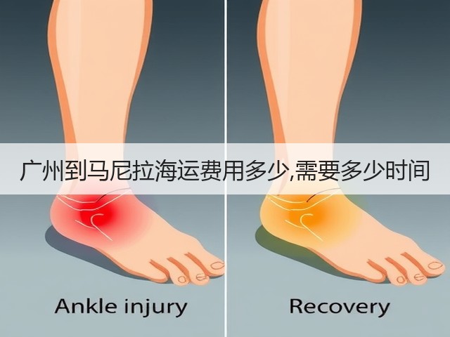 广州到马尼拉海运费用多少,需要多少时间(图3)
