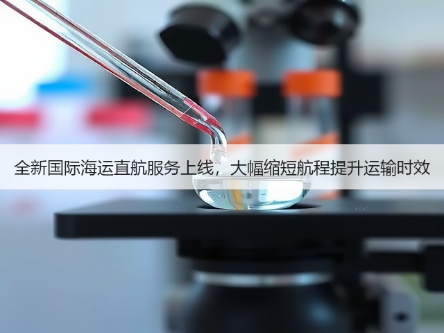 全新国际海运直航服务上线，大幅缩短航程提升运输时效(图3)