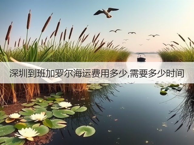 深圳到班加罗尔海运费用多少,需要多少时间(图2)