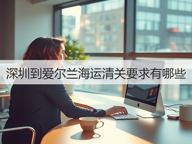 深圳到爱尔兰海运清关要求有哪些(图2) 深圳到爱尔兰海运清关要求有哪些(图2)