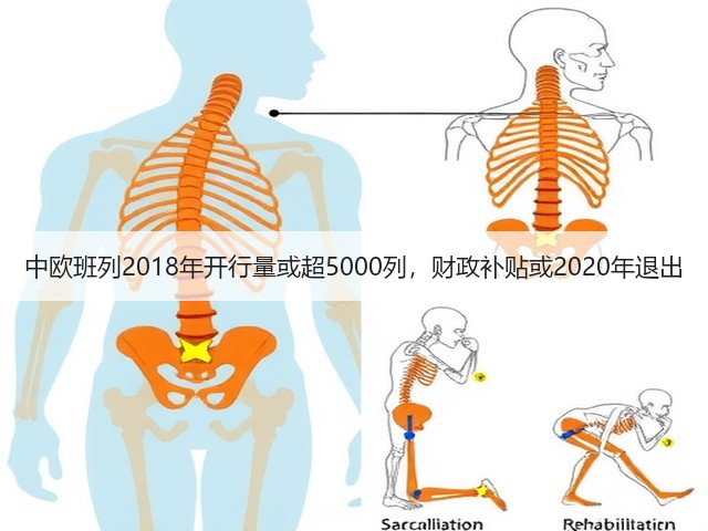 中欧班列2018年开行量或超5000列，财政补贴或2020年退出(图2)