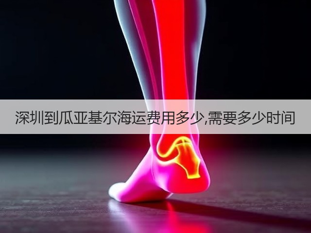 深圳到瓜亚基尔海运费用多少,需要多少时间(图2)