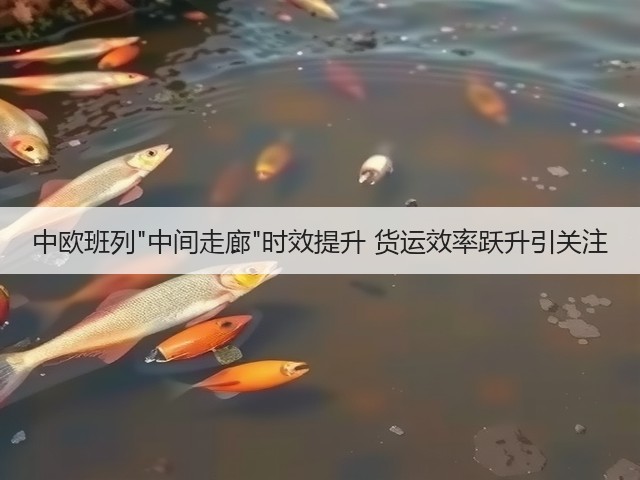 中欧班列中间走廊时效提升 货运效率跃升引关注(图2)