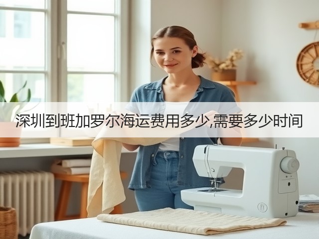 深圳到班加罗尔海运费用多少,需要多少时间(图1)