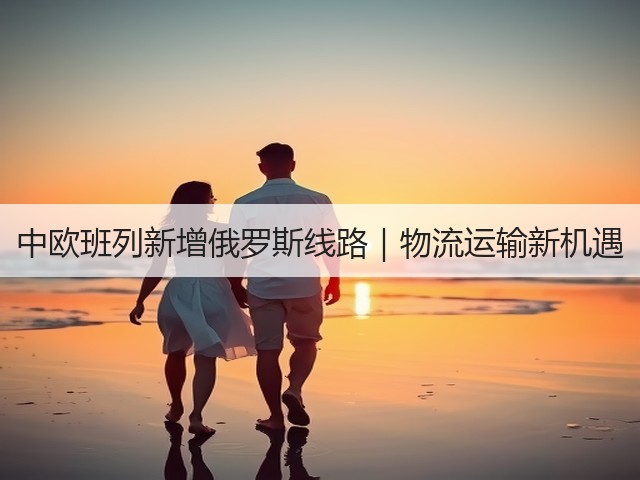 中欧班列新增俄罗斯线路｜物流运输新机遇(图3)
