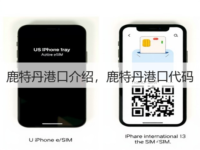 鹿特丹港口介绍，鹿特丹港口代码(图3)