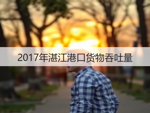 2017年湛江港口货物吞吐量(图2) 2017年湛江港口货物吞吐量(图2)