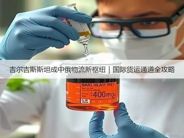 吉尔吉斯斯坦成中俄物流新枢纽｜国际货运通道全攻略(图3)