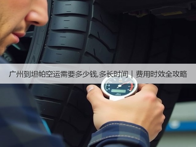 广州到坦帕空运需要多少钱,多长时间｜费用时效全攻略(图2)