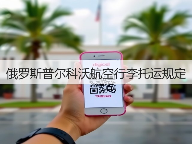 俄罗斯普尔科沃航空行李托运规定(图3)