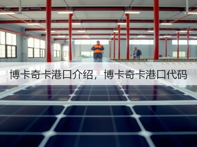 博卡奇卡港口介绍，博卡奇卡港口代码(图3)