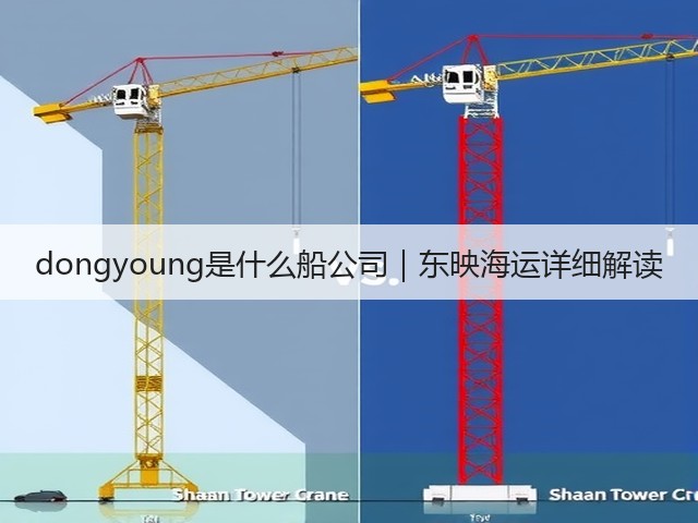 dongyoung是什么船公司｜东映海运详细解读(图2)