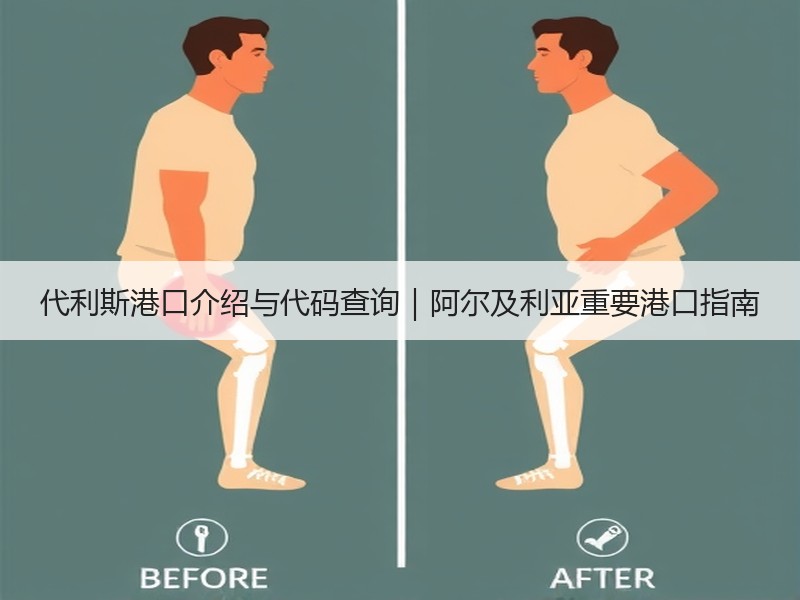 代利斯港口介绍与代码查询｜阿尔及利亚重要港口指南
