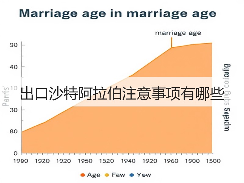出口沙特阿拉伯注意事项有哪些