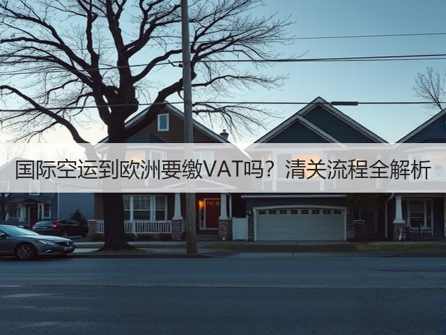 国际空运到欧洲要缴VAT吗？清关流程全解析(图1)