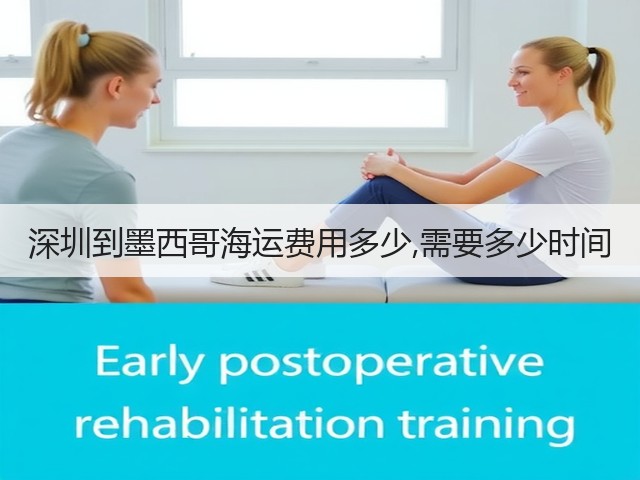 深圳到墨西哥海运费用多少,需要多少时间(图3)