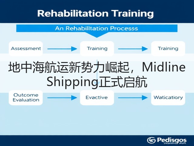 地中海航运新势力崛起，Midline Shipping正式启航(图3)