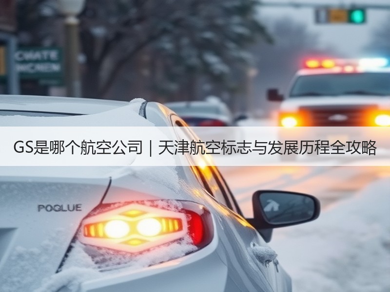 GS是哪个航空公司｜天津航空标志与发展历程全攻略