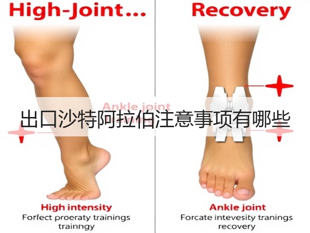 出口沙特阿拉伯注意事项有哪些(图1)
