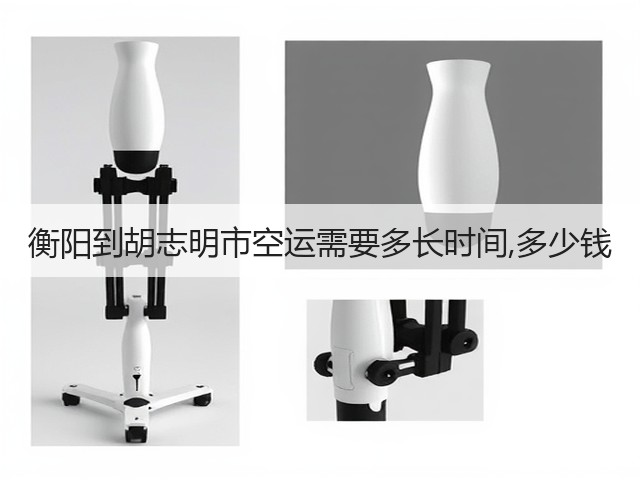 衡阳到胡志明市空运需要多长时间,多少钱(图1)