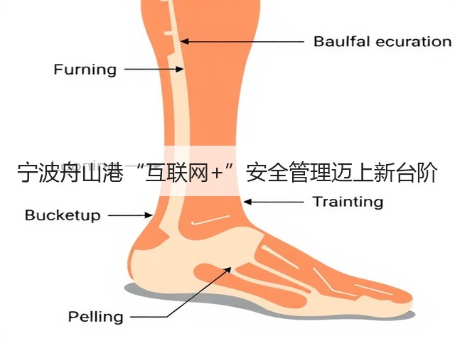 宁波舟山港“互联网+”安全管理迈上新台阶(图1)