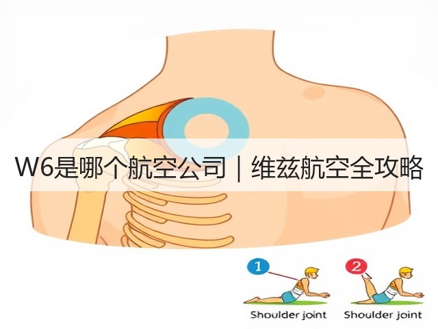 W6是哪个航空公司｜维兹航空全攻略(图3)