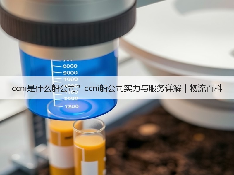 ccni是什么船公司？ccni船公司实力与服务详解｜物流百科