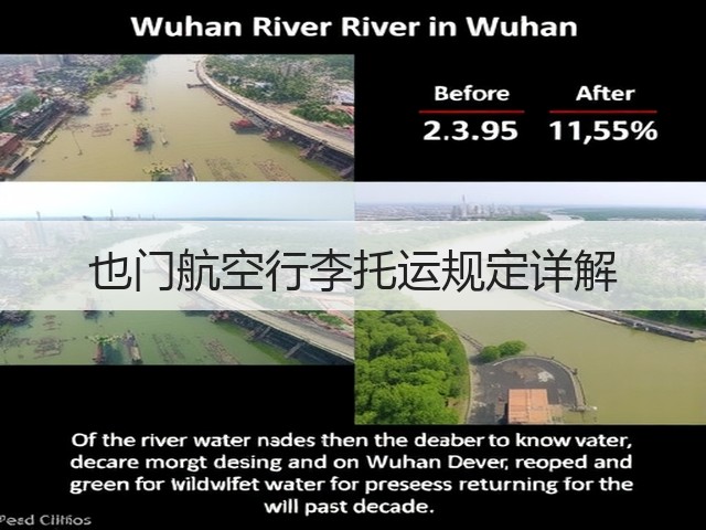也门航空行李托运规定详解(图1)