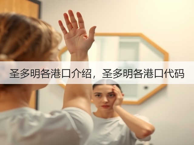 圣多明各港口介绍，圣多明各港口代码(图3)