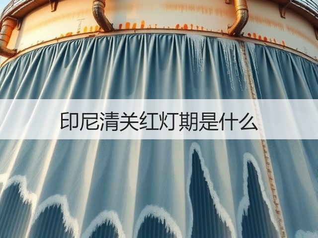 印尼清关红灯期是什么(图2)