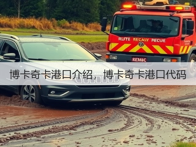 博卡奇卡港口介绍,博卡奇卡港口代码(图3) 博卡奇卡港口介绍,博卡奇卡港口代码(图3)