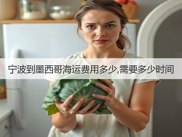 宁波到墨西哥海运费用多少,需要多少时间(图3)