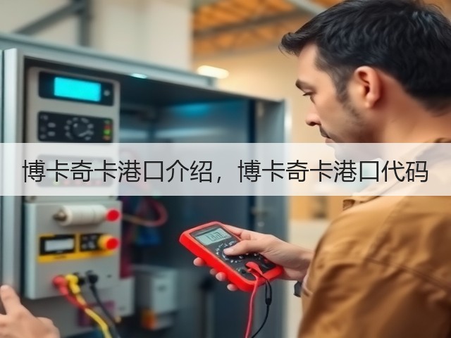 博卡奇卡港口介绍，博卡奇卡港口代码(图3)